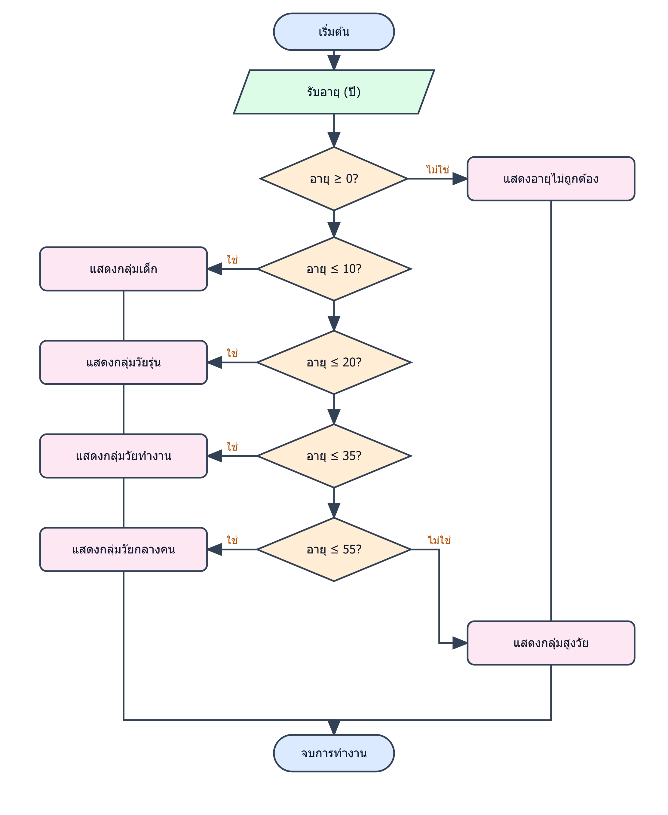 ผังงานจัดกลุ่มอายุตั้งแต่เด็กจนถึงสูงวัย